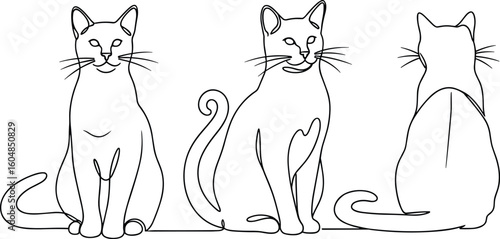 Line art illustration of cats in multiple poses, front view, side profile, sitting, perfect for pet design, creative vector themes
