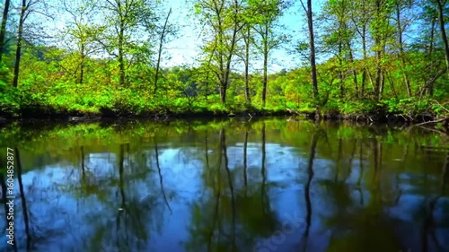 Tranquil river reflecting a lush forest
