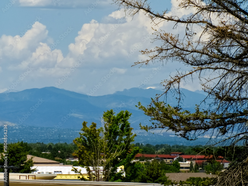 Fototapeta premium Trees, Commercial Buldings, and Mountains!
