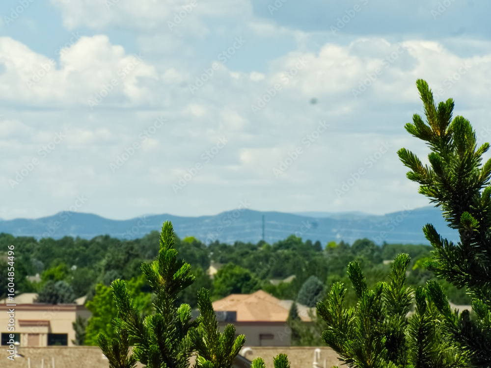 Obraz premium Trees, Buildings, and Clouds