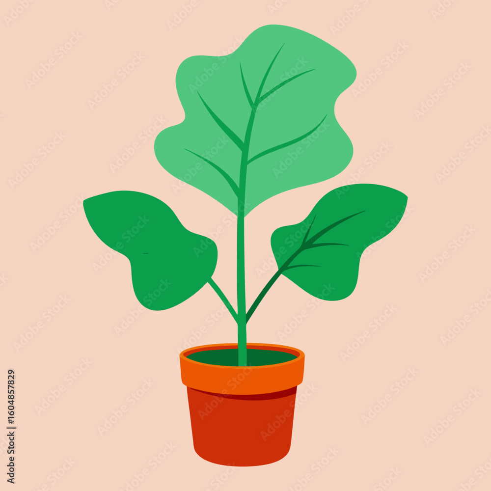 Fototapeta premium plant in pot