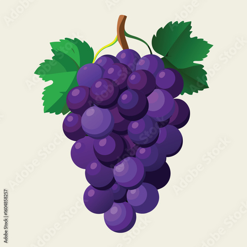 A vibrant cluster of ripe dark purple grapes artfully arranged and isolated on a clean white background isolated on white background