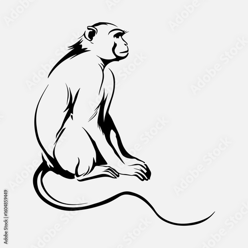 Wildlife Monkey Set Graphic Vintage Line Art Illustration Design
