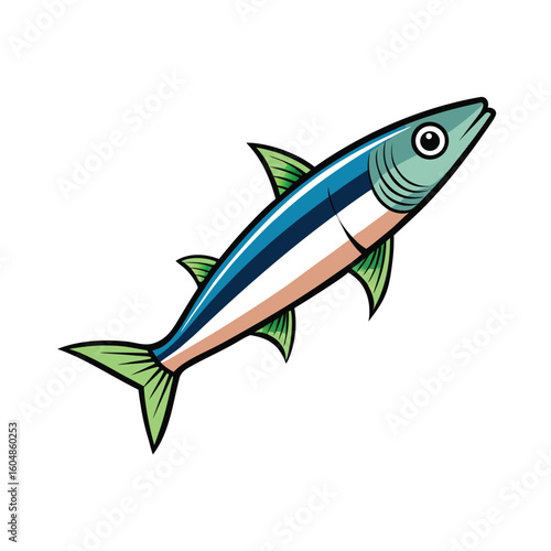 A detailed illustration of a single anchovy fish rendered as a vector graphic isolated on white background