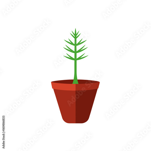realistic pine tree sapling in a biodegradable pot