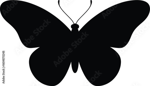 Black butterfly silhouette insect wings