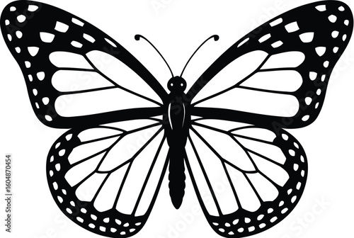 Black and white monarch butterfly illustration insect