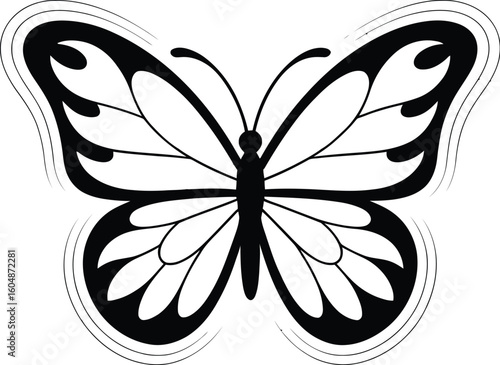 Black and white butterfly illustration insect wings
