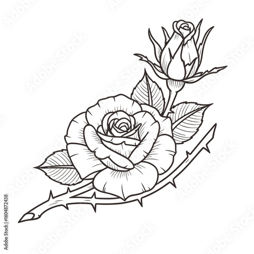 Elegant rose with bud and thorns, classic floral line art for timeless beauty and design projects