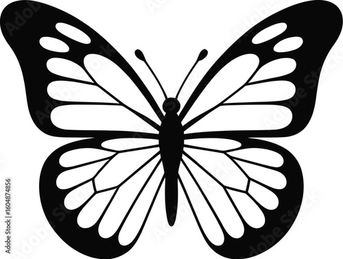 Black butterfly with white wing patterns insect wings