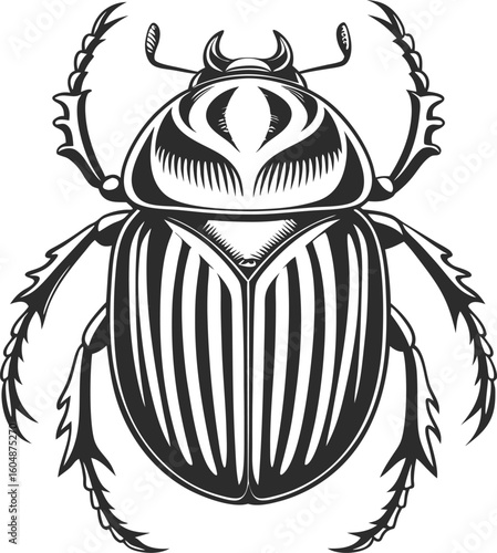 Detailed scarab beetle silhouette isolated on transparent background