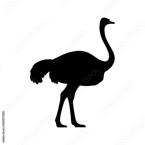 Ostrich silhouette icon, large flightless bird from Africa.
