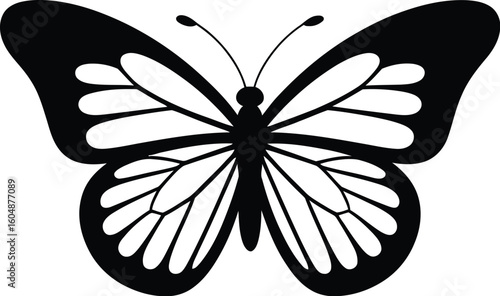 Black butterfly silhouette with detailed wings insect