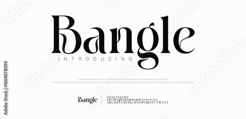 Bangle elegant serif font logo. Classic modern typography with uppercase and lowercase letters. Perfect for branding, fashion, editorial, wedding, and luxury design. Vector illustration.
