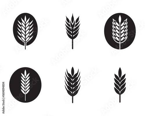Vector illustration of wheat ears showcasing agricultural abundance and harvest symbols for logos and design elements in black and white