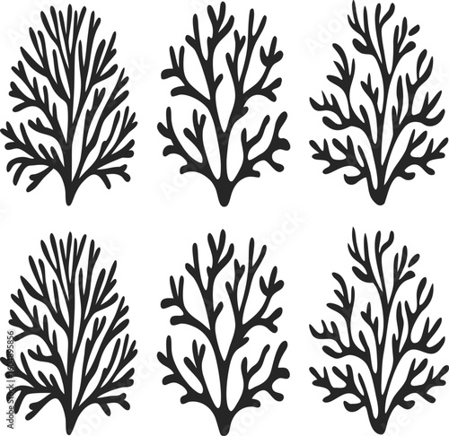 silhouettes of various types of silhouettes