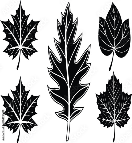 silhouettes of different types o silhouettes