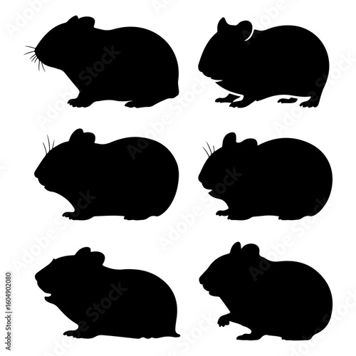 Set of Black hamster silhouette on isolated