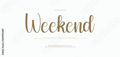 Weekend Hand drawn Font Uppercase Lowercase and Number. Modern monoline signature script font. Elegant Signature Font. Best Alphabet Beautiful Calligraphy Signature Font. vector illustration 
