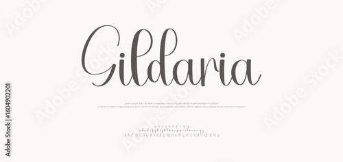 Gildaria Signature Font Uppercase Lowercase and Number. Calligraphy Logotype Script Brush Font Type Font lettering handwritten. vector illustration 
