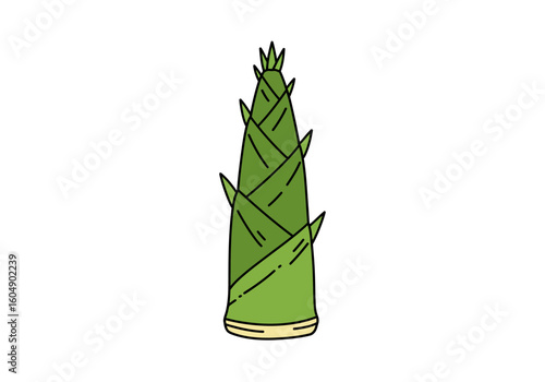 A green pointed bamboo shoot with layered sheaths and a creamy base against a white background