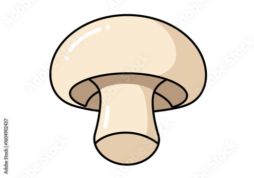 A single beige mushroom with a rounded cap and sturdy stem