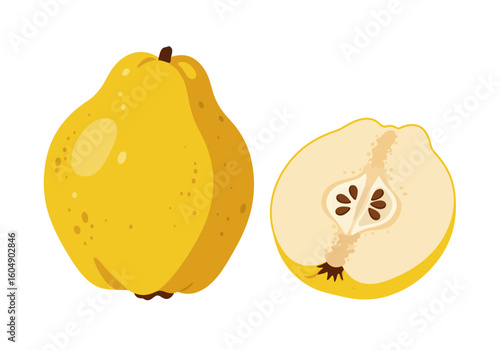Quince fruit illustration One whole and one halved revealing seeds