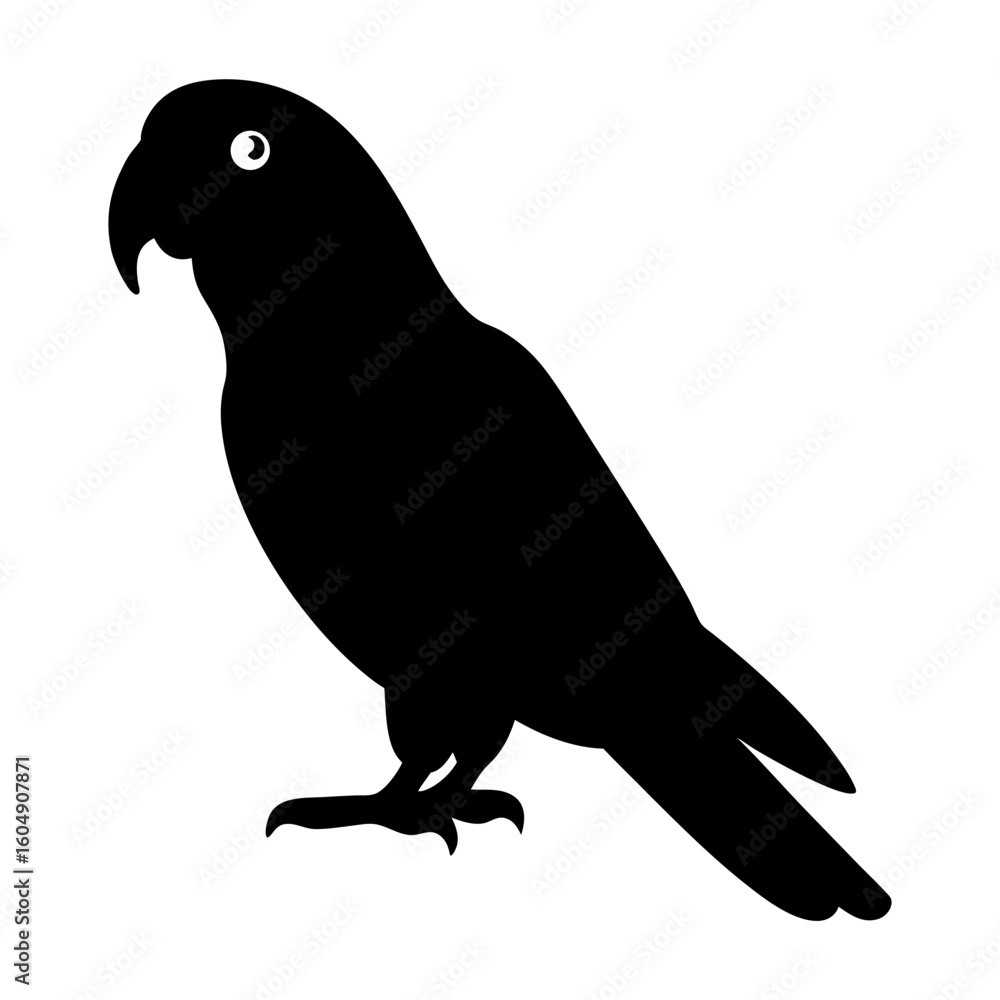 Fototapeta premium Elegant black silhouette of a parrot standing against a white backdrop