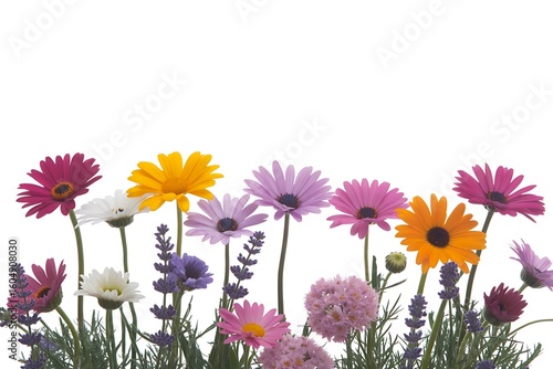 A Colorful Array of Fresh Spring Flowers Blooming Together in a Garden