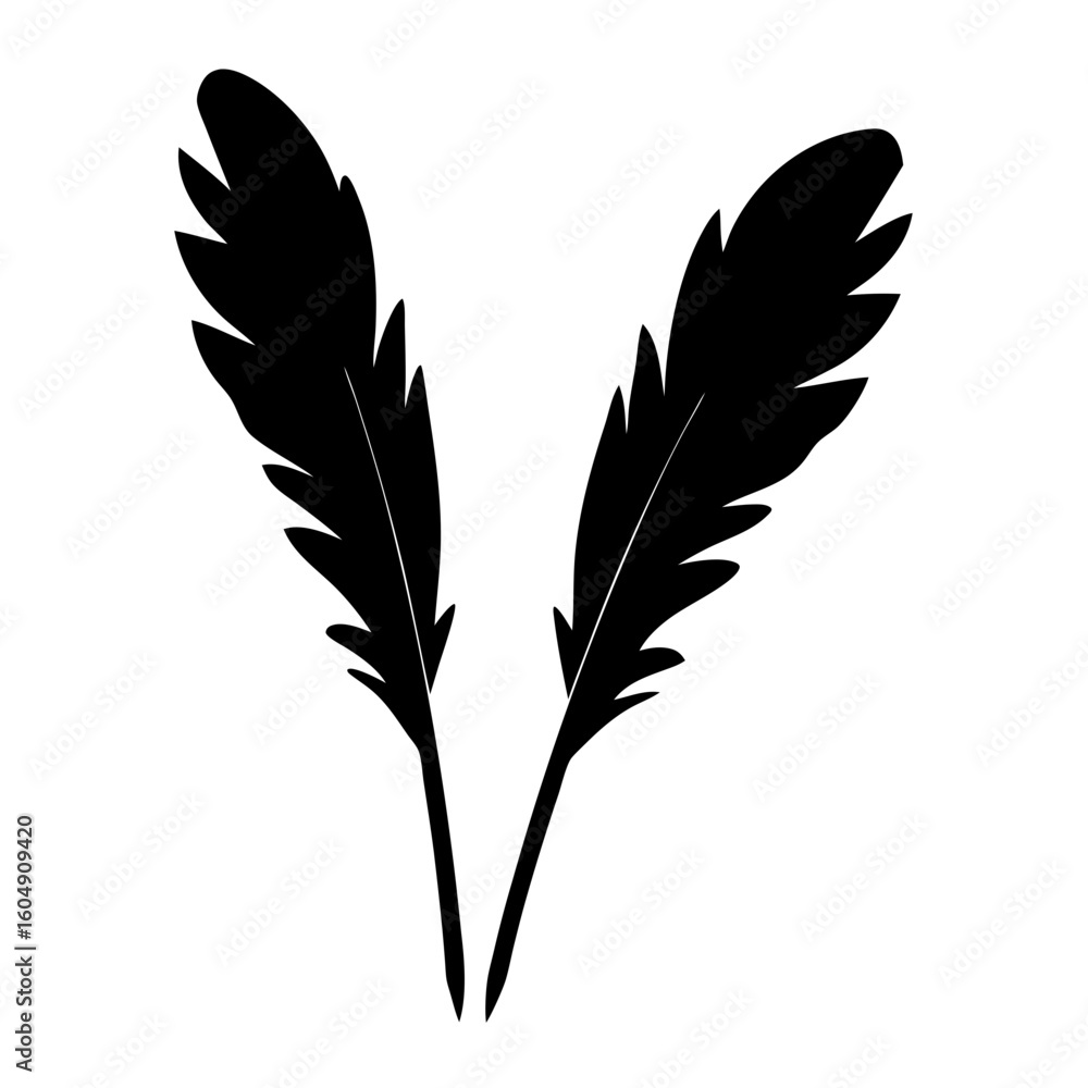 Obraz premium Two elegant black feathers on white background creating artistic composition