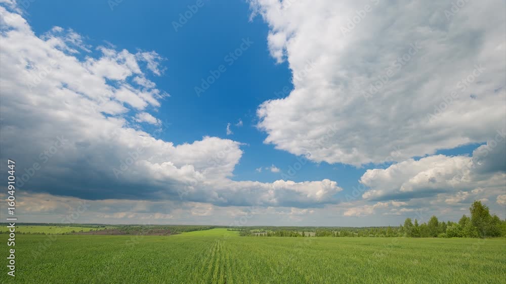 Expansive Green Fields Stretching Beneath a Beautifully Cloudy and Clear Blue Sky Above Expansive Green Fields Stretching Beneath a Beautifully Cloudy and Clear Blue Sky Above