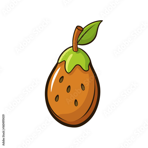 Creative Vector Style Sapodilla Fruit on White Background