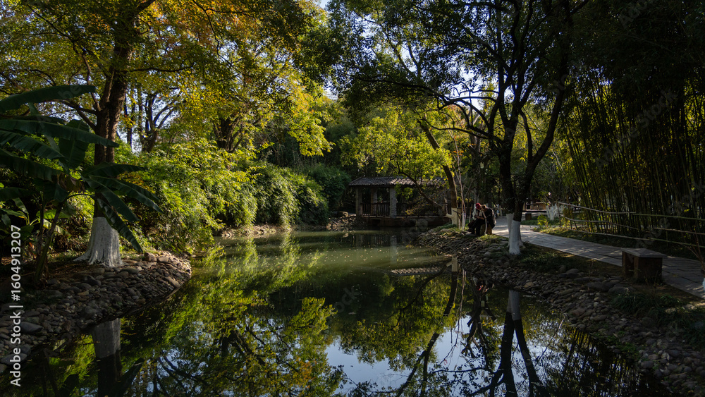Fototapeta premium pond in the park
