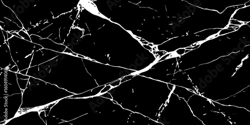 A striking, high-contrast image featuring bold white cracks and veins against a deep, dark, almost obsidian-like background, reminiscent of natural black marble or a shattered surface.