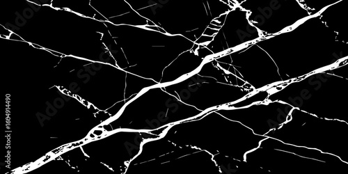 A striking, high-contrast image featuring bold white cracks and veins against a deep, dark, almost obsidian-like background, reminiscent of natural black marble or a shattered surface.