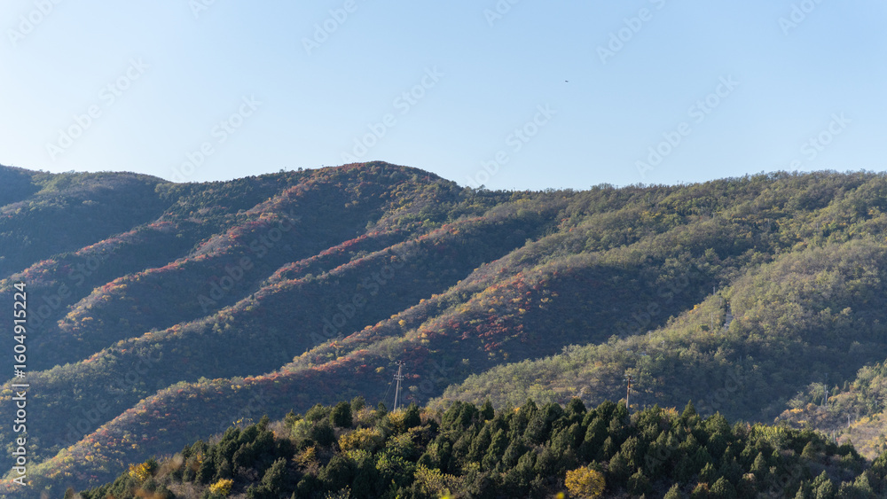 Naklejka premium landscape with mountains