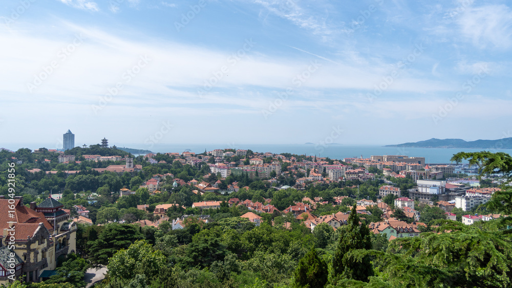 Fototapeta premium panoramic view of the city of vilnius