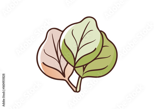 Onstream deliciosa leaf Vector Illustration