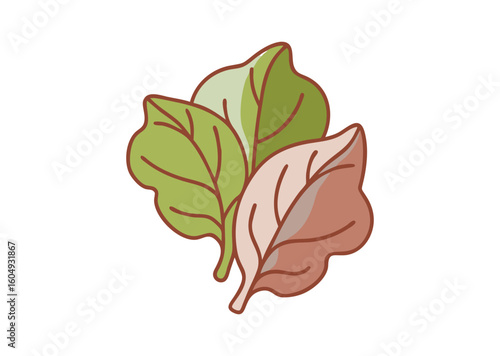 Onstream deliciosa leaf Vector Illustration