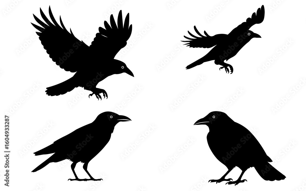 Fototapeta premium Vector Isolated Black Crow Bird Silhouette Art