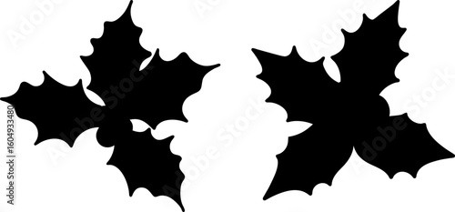 Black holly berry with leaves vector, holly berry art, holly berry vector art design, Vector of holly berry art, holly berry isolated