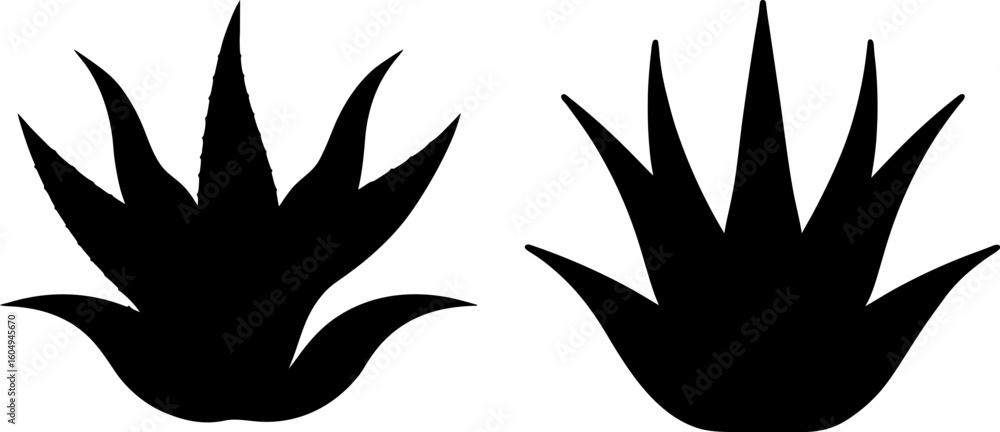 Fototapeta premium Black aloe vera vector, Aloe vera art, Aloe vera vector art design, Vector of Aloe vera art, Aloe vera isolated