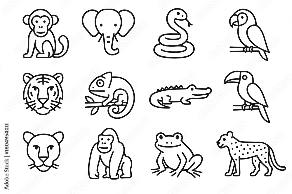 Fototapeta premium Outline drawings of jungle animals: monkey, elephant, snake, parrot, tiger, chameleon, crocodile, toucan, panther, gorilla, frog, cheetah