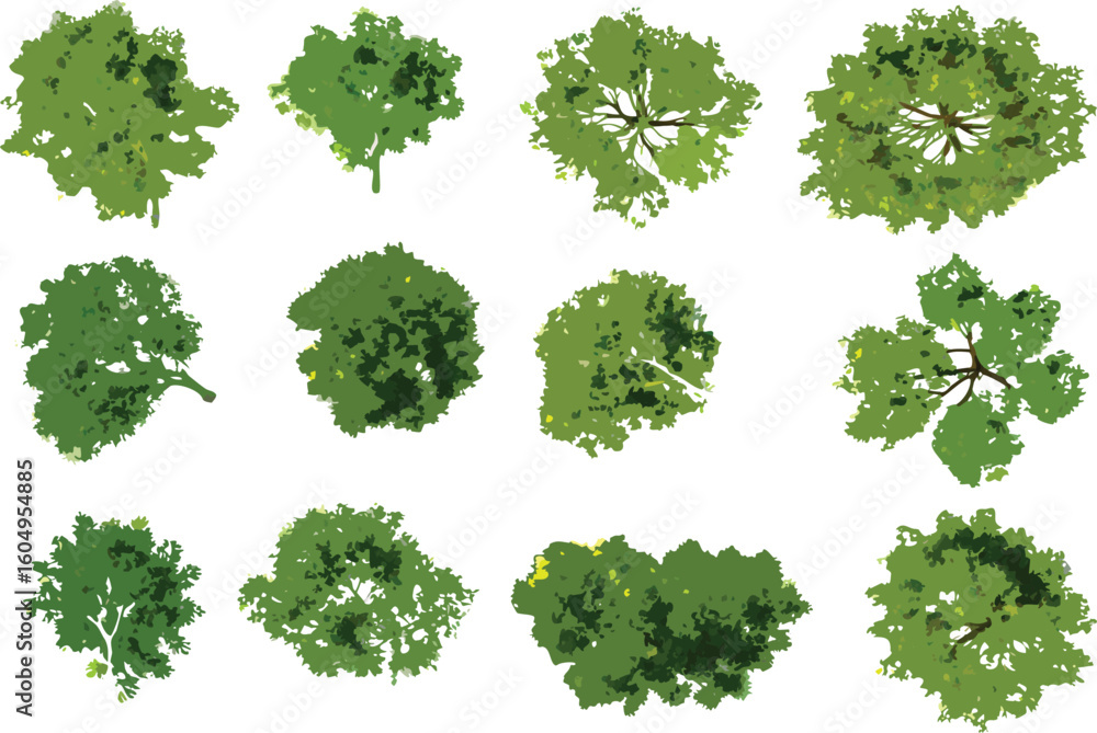 Watercolor treetop illustrations of twelve distinct trees viewed from above with vibrant green foliage on a white background
Watercolor treetop illustrations of twelve distinct trees viewed from above with vibrant green foliage on a white background