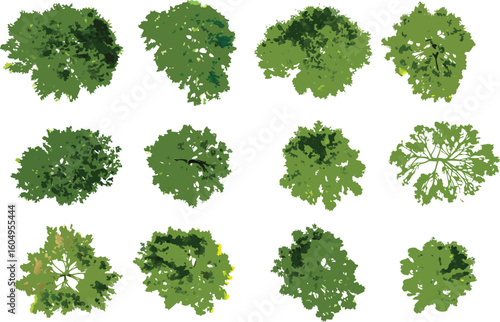 Wallpaper Mural Watercolor treetop illustrations of twelve distinct trees viewed from above with vibrant green foliage on a white background

 Torontodigital.ca