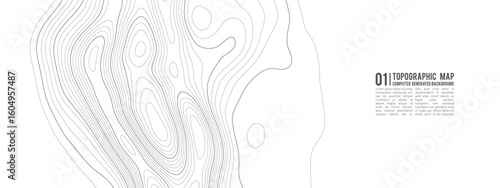 Topographic line map background with contour patterns and abstract vector terrain. Vintage elevation textures for geology research or adventure wallpaper designs.