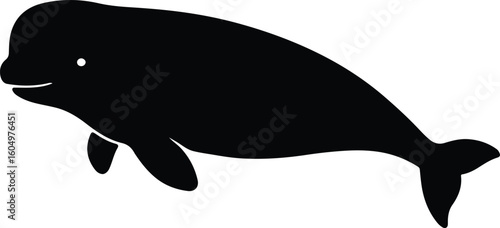 Silhouette Beluga whale swimming isolated on white background vector illustration