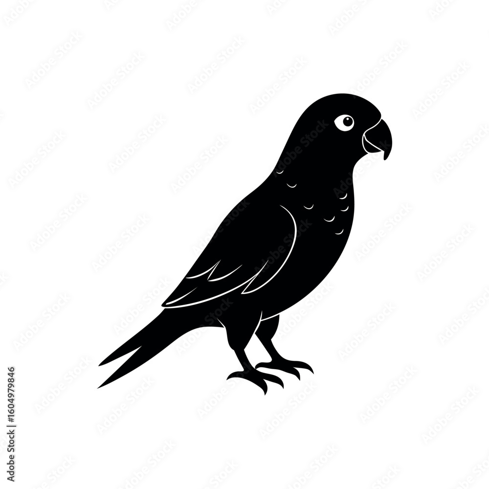 Obraz premium A lorikeet Bird's silhouette art vector illustration.
