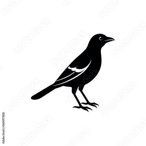 A myna Bird's silhouette art vector illustration.