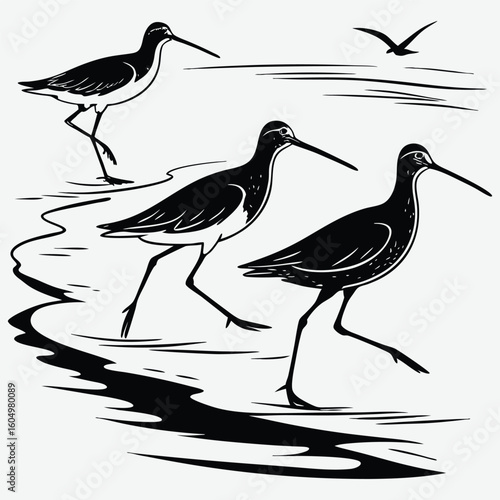 Sandpiper birds running along shoreline image silhouette design vector art and illustration